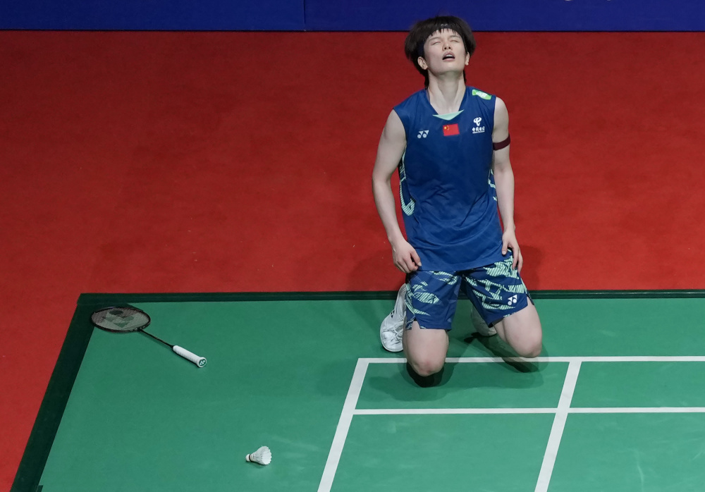 双翼齐飞 双翼齐飞