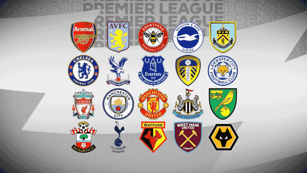 中国游泳队 中国游泳队